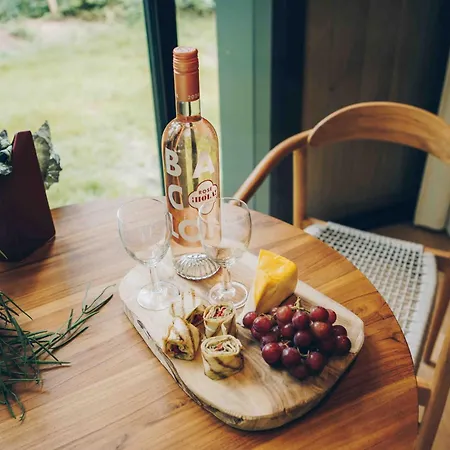 Dom wakacyjny LumiPod mit Hot Tub | 2 Pers. Wilsum